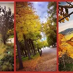 N¨°1 Schongauer Gite De Charme Centre Touristique Colmar