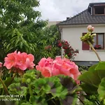 Colmar , Séjour calme chez l\'habitant