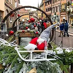 Les Suites Du Cygne