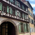 Les Lionceaux, 120M2 A Colmar, Place De Parking Gratuite