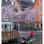Maison avec terrasse Colmar Centre