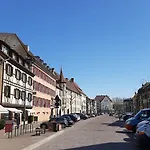 Appartement Hypercentre Colmar