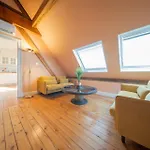 Great Accommodation Colmar Free Parking