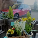 Chalet Les Lilas