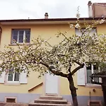 Appartement Avec Jardin A Colmar