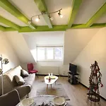 Colmar Historic Center - Cosy Appartement Turenne 2 - Bookingalsace