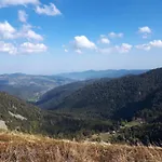 Au Chasseur