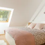 Appartement de standing 8 Personnes centre historique de Colmar