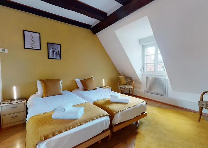 Aux Bijoux De Colmar - Le Saphir - 1 Parking Gratuit