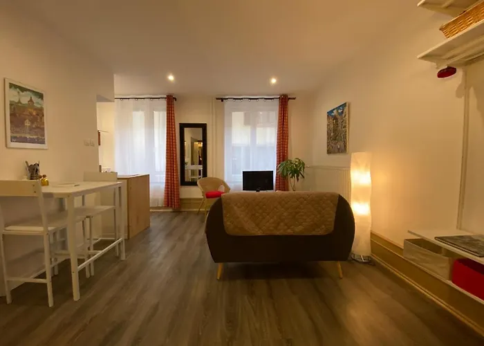 L\'Ours De Colmar - Appartements En Centre Ville