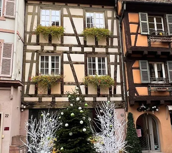 Les Suites Du Cygne
