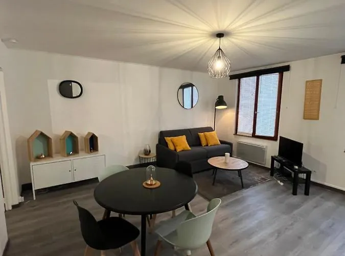 Appartement Cosy Hyper Centre Colmar