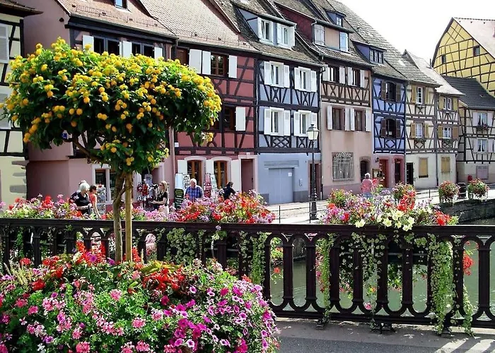 Colmar,Appart Chaleureux 2 Pas Centre Avec Jardin