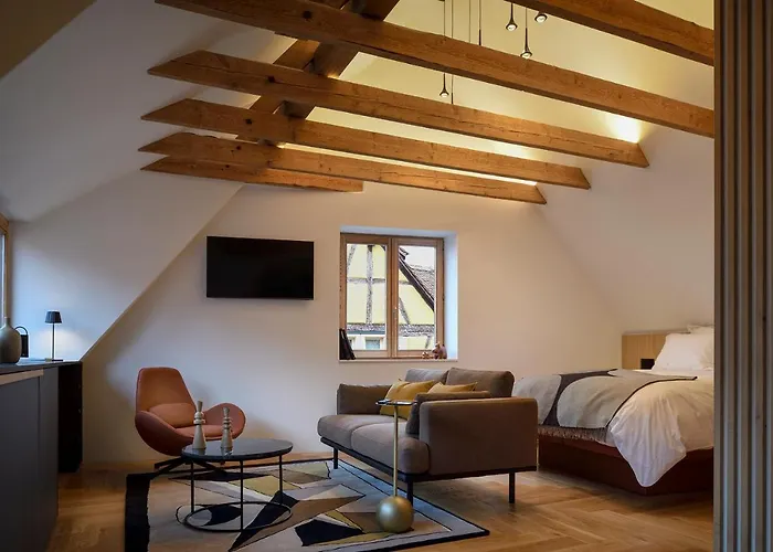 Rive Petite Venise Appartement Luxe - Centre Ville Colmar - Clim, Ascenseur & Possibilite Parking