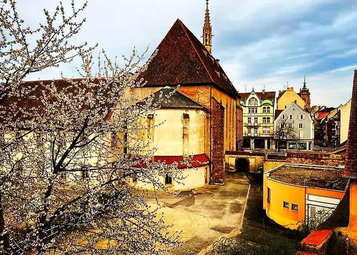 Appartement Charme Colmar Centre