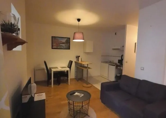 Colmar Studio Saint Martin
