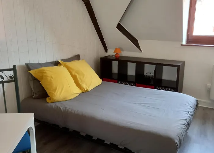 Colmar: studio dans le centre historique