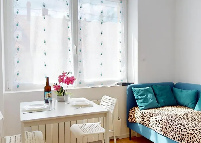 Le Charme Colmarien - Appartement 2 Pieces Au Coeur De La Ville