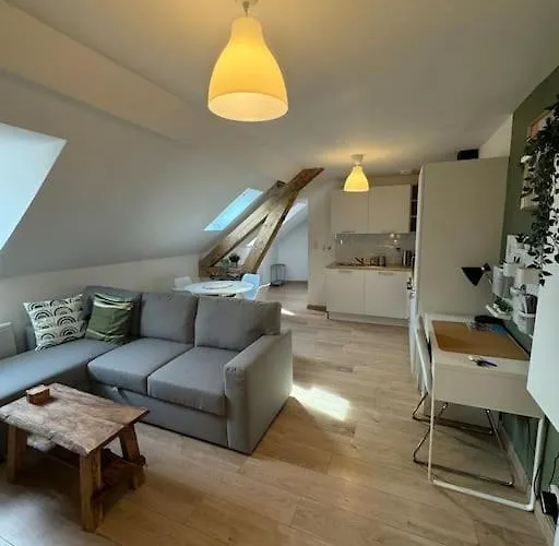 Le Petit Nid De Colmar - Parking Prive