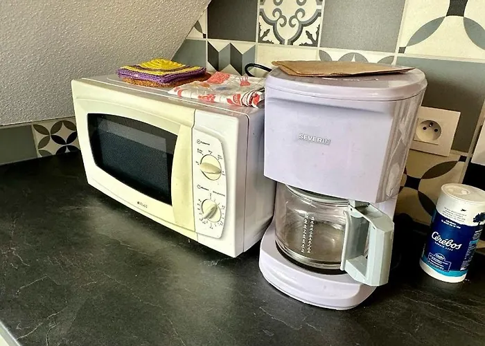 Appartement 4 Personnes En Plein Centre De Colmar