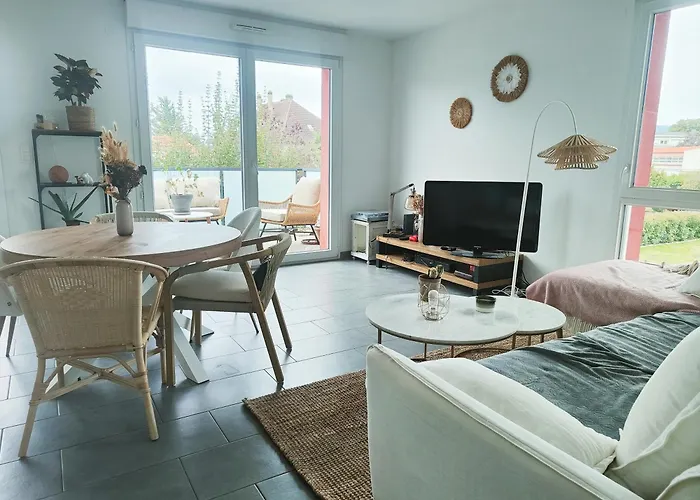 Spacieux Appartement Lumineux
