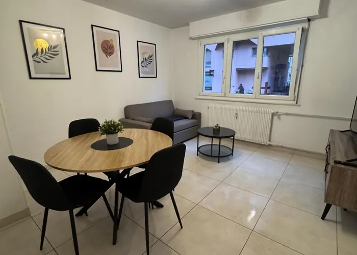Appartement Centre Colmar