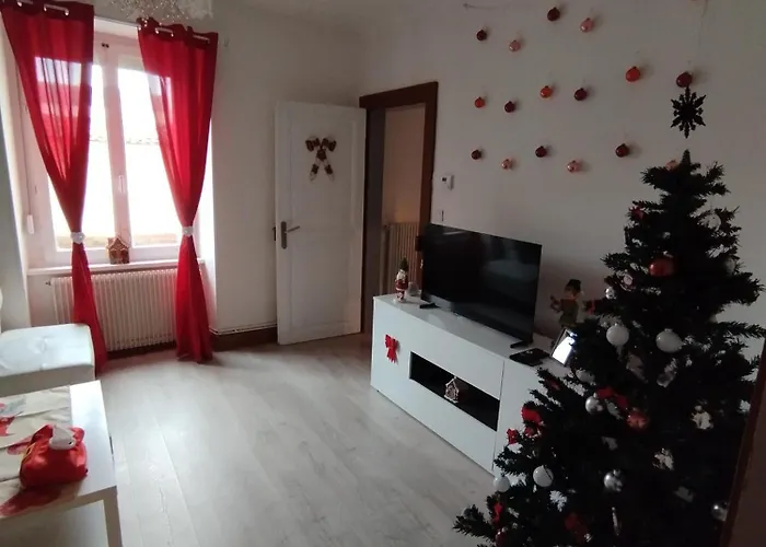 Charmant Appartement De 3 Pieces, Colmar