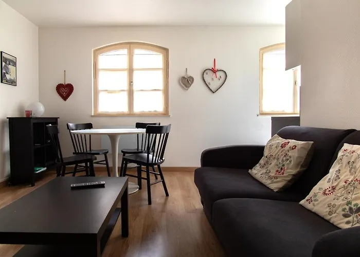 Bel Appartement Au Centre De Colmar