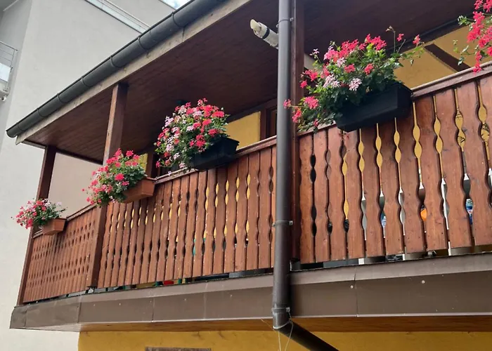 Colmar Charmant Logement
