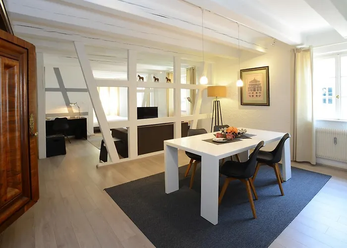 Colmar City Center Place De L\'Ancienne Douane - Apartment \