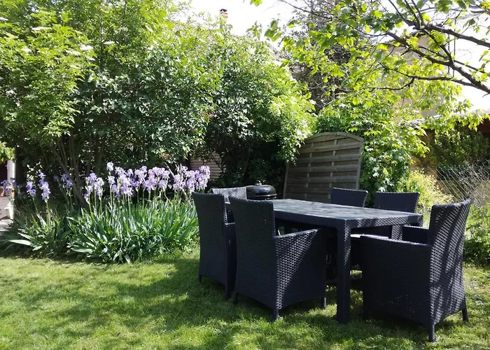 Appartement Avec Jardin A Colmar
