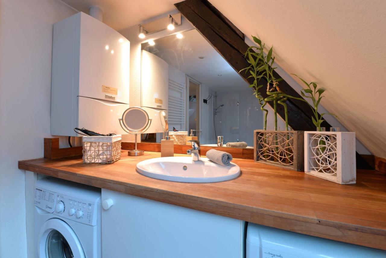 Apartment L'elegant De La Petite Venise Colmar