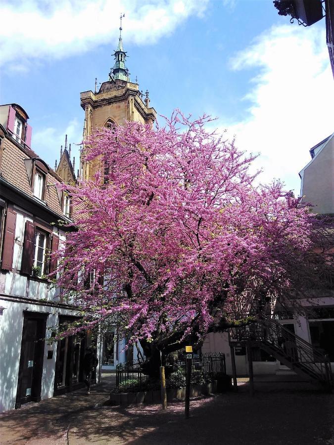 Bed & Breakfast Les Iris *