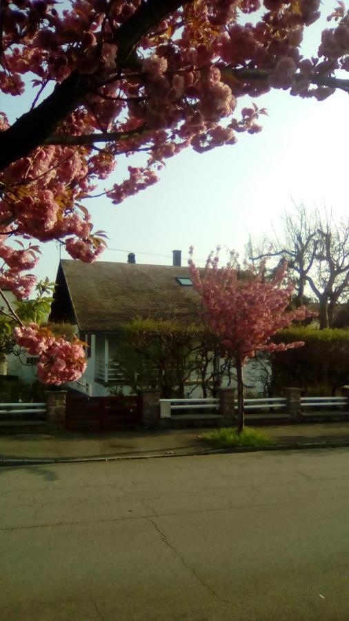 Chalet Montségur Chalet *