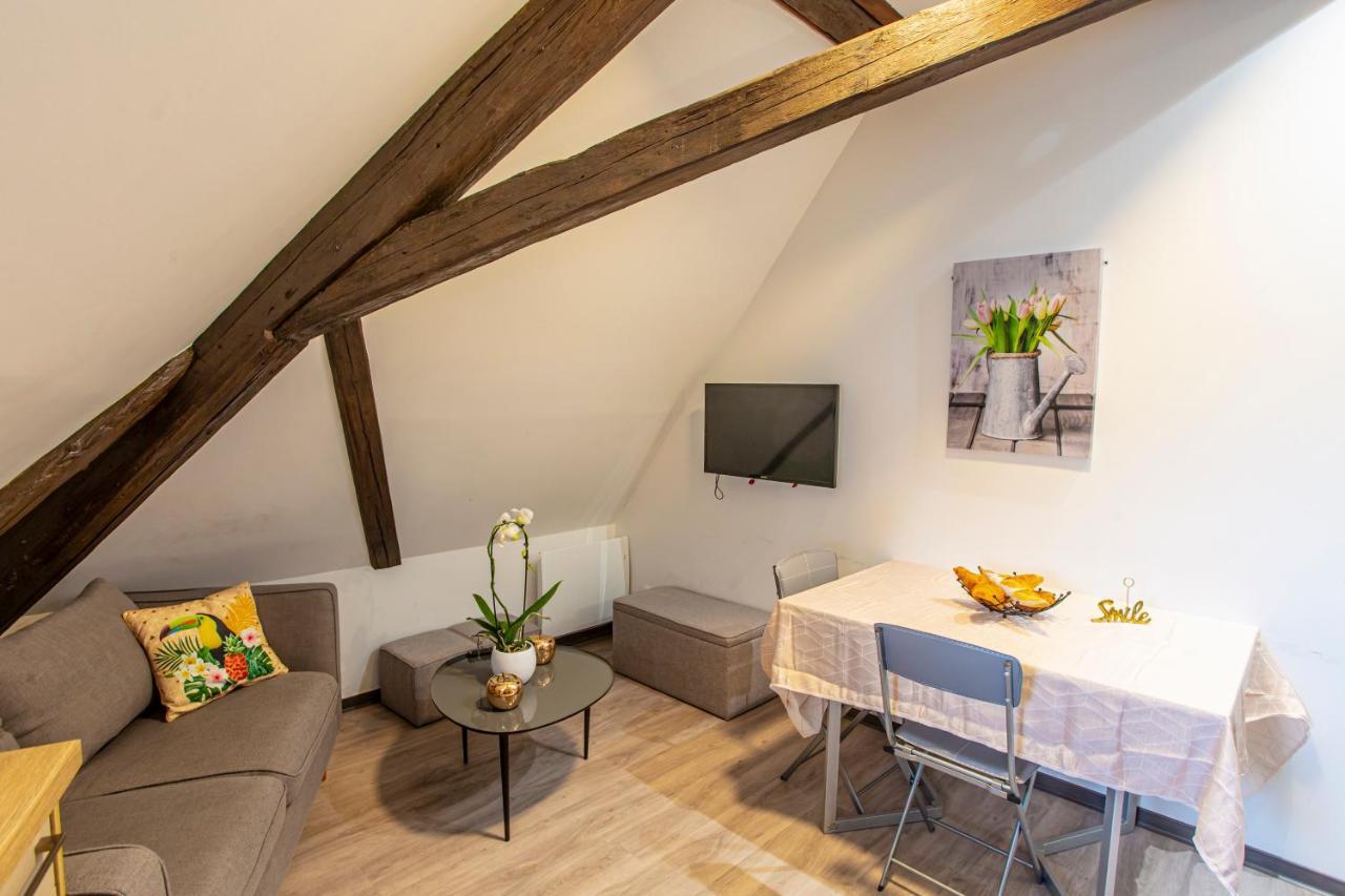 #cnj - Chez Juliette Et Nicolas- Centre Historique - Au Calme - Wifi - Tout Confort Appartement Colmar
