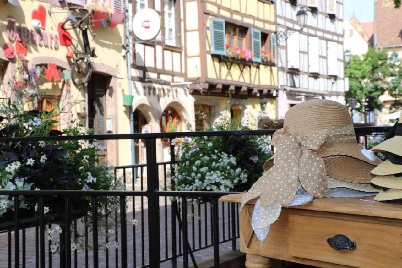 Gite45colmar