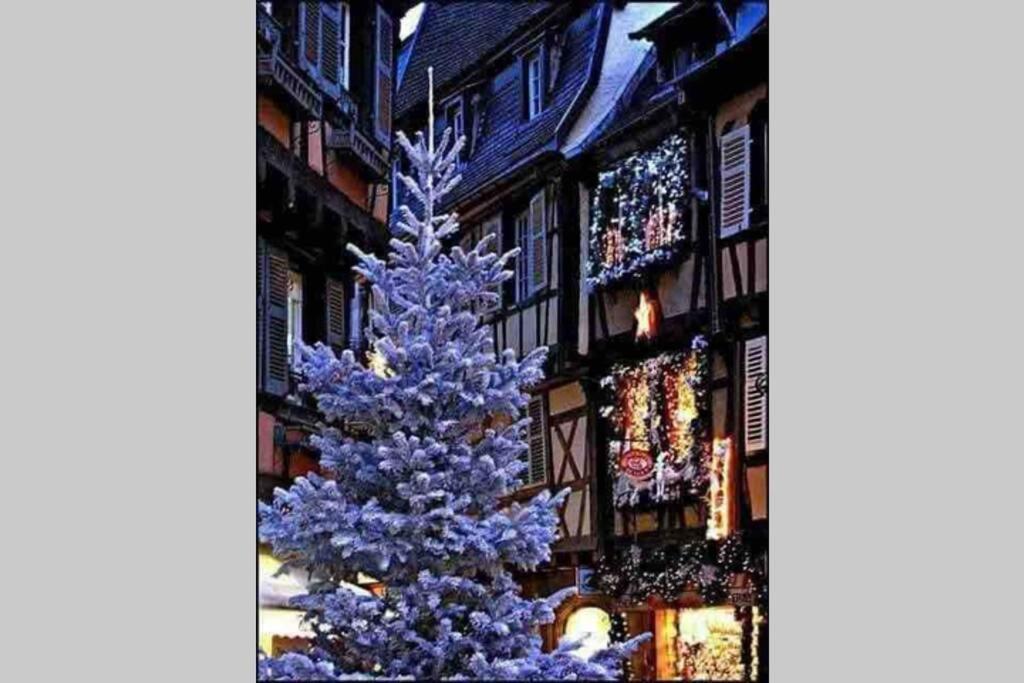 Coeur Alsace * Colmar