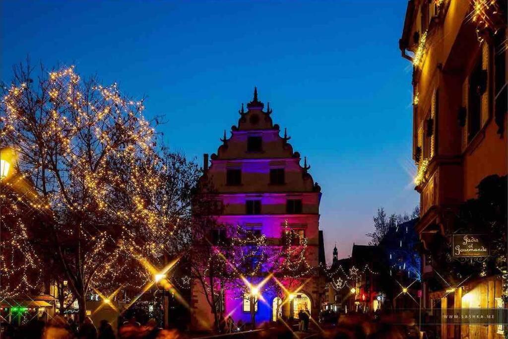 Coeur Alsace Apartment Colmar