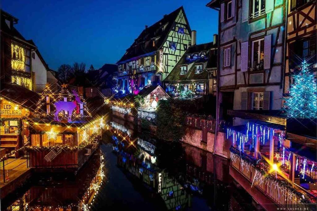 Apartment Coeur Alsace Colmar