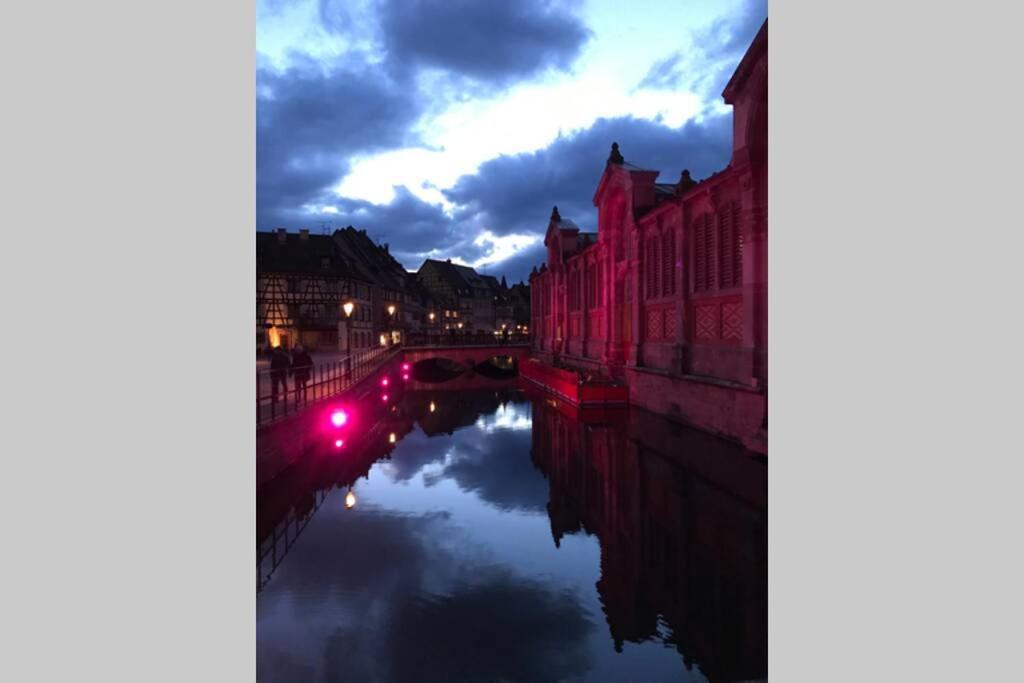 Coeur Alsace Apartment Colmar