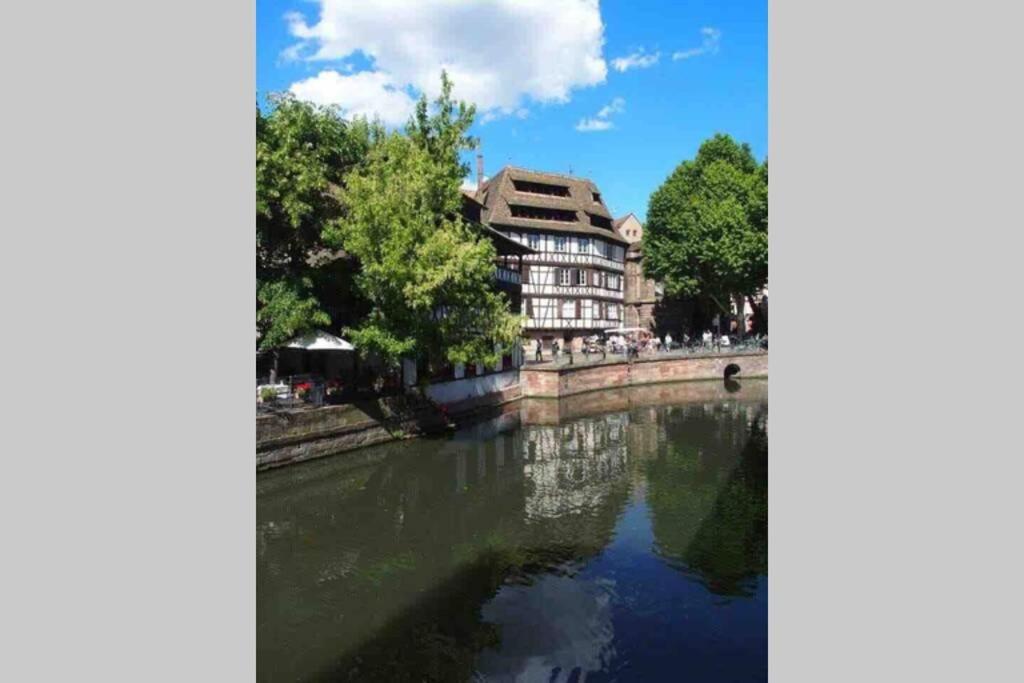 Coeur Alsace Apartment Colmar