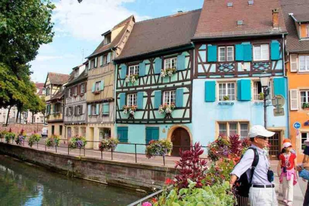 Coeur Alsace Appartement