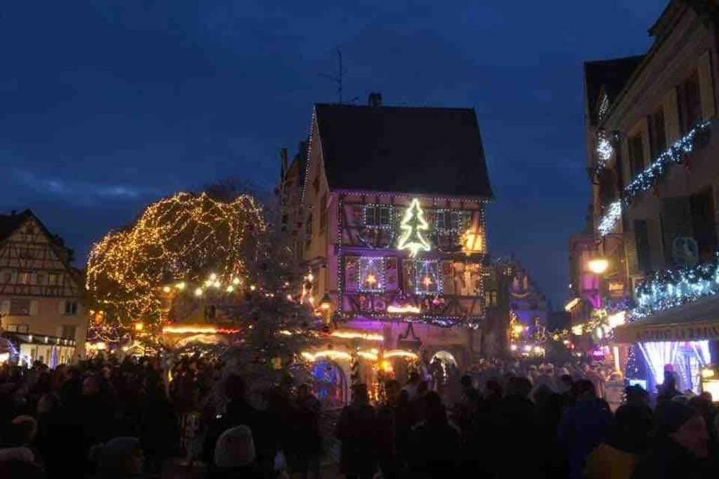 Apartment Coeur Alsace Colmar