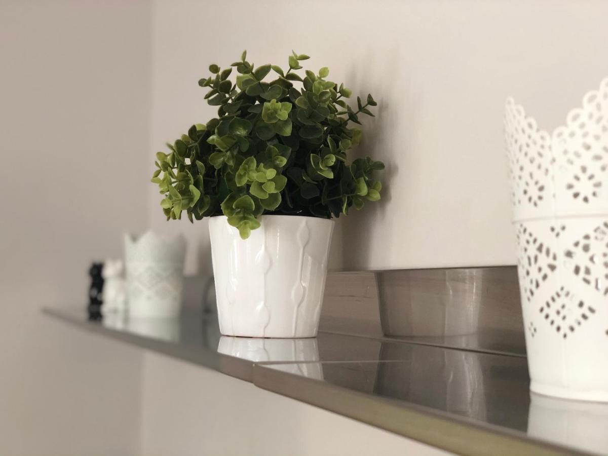 Appartement Arche De Noe Colmar