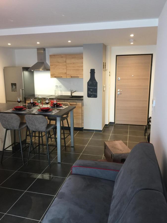 Le Riesling Centre Avec Terrasse Et Parking Gratuit Colmar
