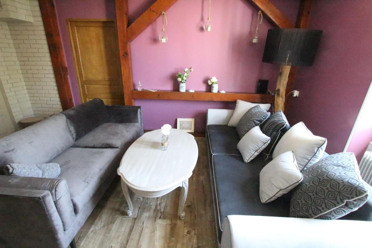 Center - Duplex Marigny - Bookingalsace Apartment Colmar