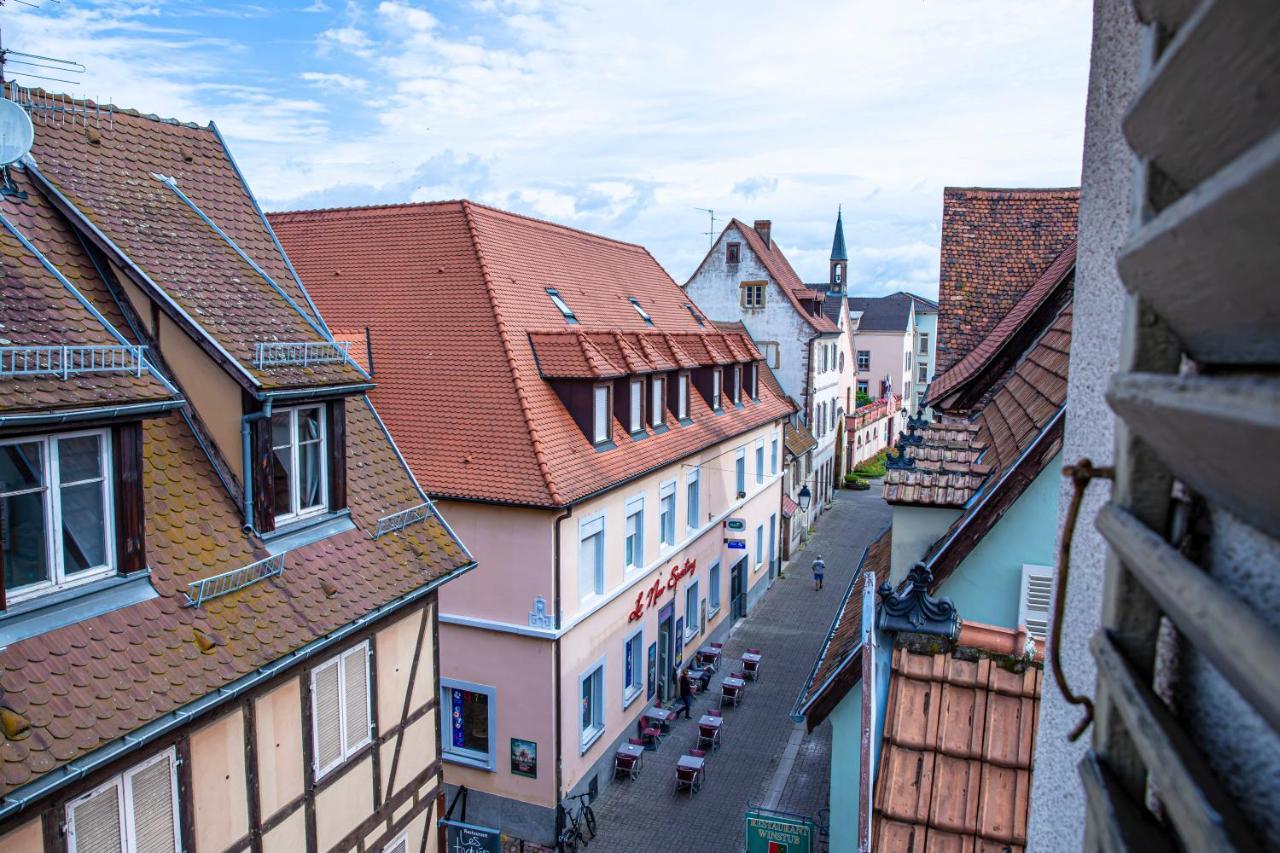 Le Rapp - Centre Historique - Wifi - Confort Appartamento Colmar