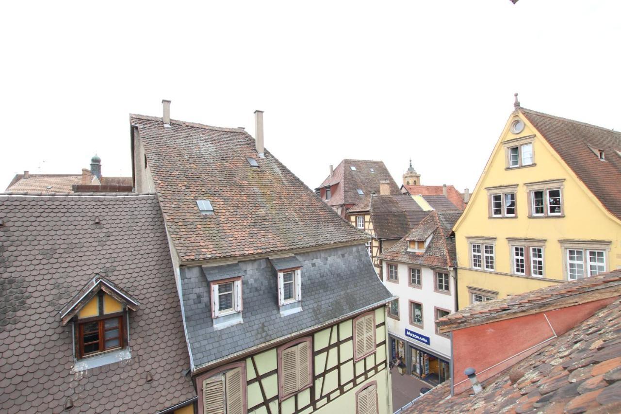 Center - Petit Ours - Bookingalsace