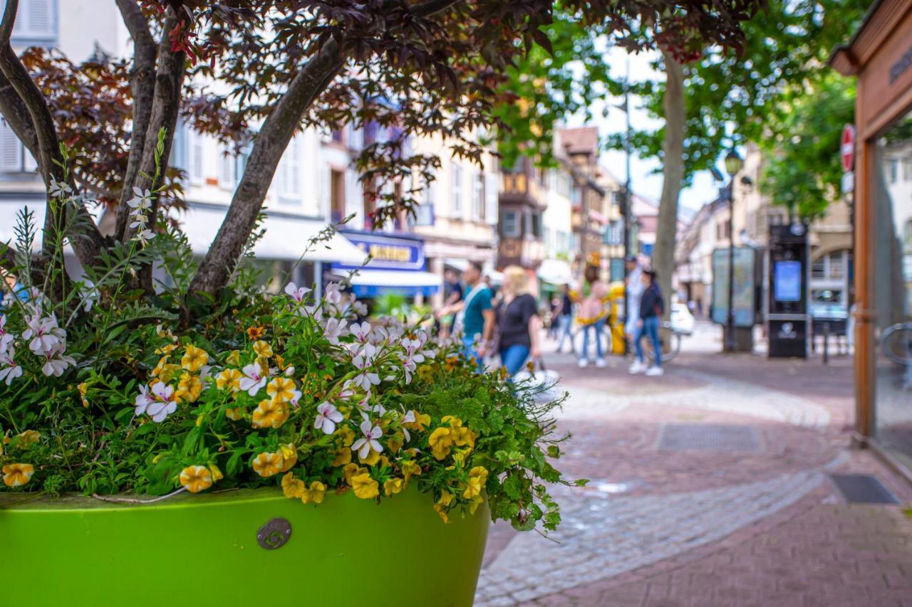 #cnj - Chez Juliette Et Nicolas- Centre Historique - Au Calme - Wifi - Tout Confort Appartement *