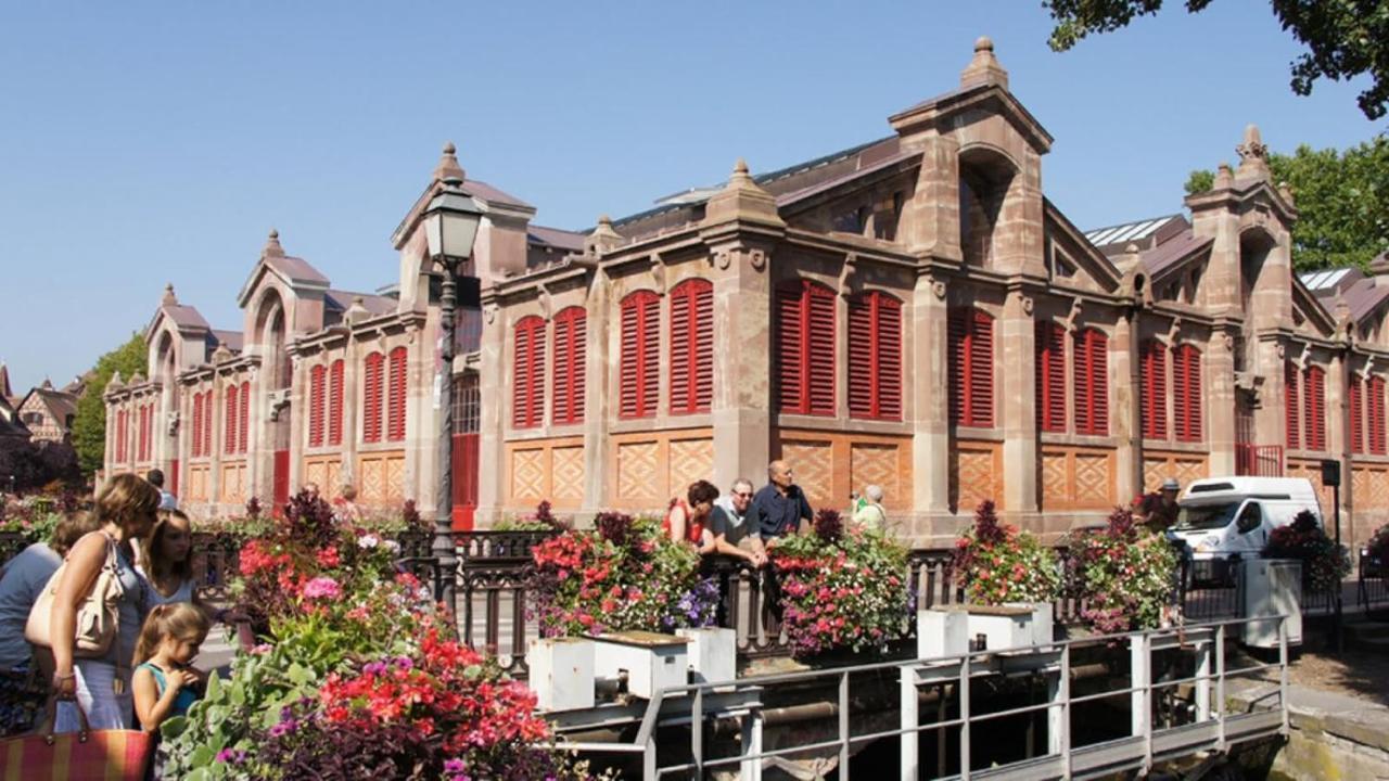 Appartement Historic Center - Cosy Turenne 1 - Bookingalsace Colmar